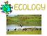 ECOLOGY is the scientific study of interactions among organisms with each other and with the environment.