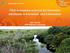 Pilot ecosystem account for Indonesia peatlands in Sumatera and Kalimantan. Etjih Tasriah BPS-Statistics Indonesia