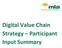 Digital Value Chain Strategy Participant Input Summary