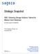Strategic Snapshot. EMC: Delivering Storage Solutions Tailored for Medium Size Enterprises. The Sageza Group, Inc. November 2003