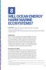 8 WILL OCEAN ENERGY HARM MARINE ECOSYSTEMS?