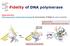 Fidelity of DNA polymerase