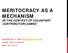 MERITOCRACY AS A MECHANISM IN THE CONTEXT OF VOLUNTARY CONTRIBUTION GAMES