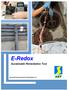 E-Redox AET. Sustainable Remediation Tool. Advanced Environmental Technologies LLC