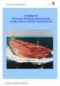 Guideline for Ultrasonic Thickness Measurements of ships classed with Det Norske Veritas