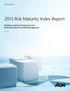 2013 Risk Maturity Index Report