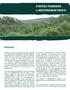 STRATEGIC FRAMEWORK. Rationale ON MEDITERRANEAN FORESTS
