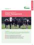 Replacement Heifer Management by Emer Kennedy