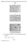 Page 2. Q1.Figure 1 shows photographs of some animal cells at different stages during the cell cycle. Figure 1