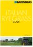 ITALIAN RYEGRASS GUIDE. barenbrug.co.uk BARFORAGE FOCUS GRASSLAND MANAGEMENT