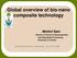Global overview of bio-nano composite technology