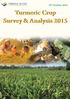 16 th October, Turmeric Crop Survey & Analysis 2015