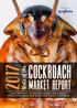Cockroach. Market Report. State of the
