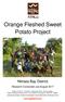 Orange Fleshed Sweet Potato Project