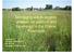 Managing warm-season grasses for pasture and bioenergy in the Prairie Peninsula