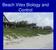 Beach Vitex Biology and Control