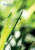 NEW ZEALAND IS OUR HOME. IT IS A LAND LIKE NO OTHER. A LAND OF NATURAL ABUNDANCE AND BEAUTY. NOVEMBER