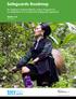 Safeguards Roadmap. for Vietnam s National REDD+ Action Programme: a contribution to a country-led safeguards approach. Version 2.0.