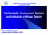The Needs for Environment Statistics and Indicators in African Region