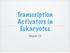 Transcription Activators in Eukaryotes. Chapter 12