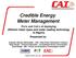 Credible Energy Meter Management Pro s and Con s of deploying different meter types and meter reading technology in Nigeria Presented by: