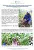 Small-holder coffee farmers in Kirinyaga and Nyeri Counties benefit from the dissemination of improved maize varieties