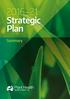 Strategic Plan. Summary