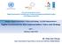 Digital Government for SDG Implementation: Policy and Strategy