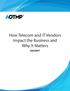 How Telecom and IT Vendors Impact the Business and Why It Matters EXCERPT