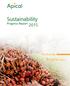 Sustainability. Begins here. Progress Report. The Journey