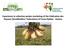 Experience in collective potato marketing of the Fédération des Paysans [Smallholders Federation] of Fouta Djallon - Guinea