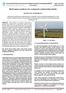Bird impact analysis of a composite wind turbine blade
