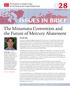 The Minamata Convention and the Future of Mercury Abatement