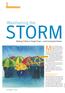 STORM. Weathering the. Making IT Work in Tough Times and Coming Out Ahead INDUSTRY FEATURE. The business needs you now more than ever