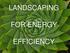 LANDSCAPING FOR ENERGY EFFICIENCY