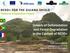 Drivers of Deforestation and Forest Degradation in the Context of REDD+