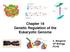 Chapter 19 Genetic Regulation of the Eukaryotic Genome. A. Bergeron AP Biology PCHS