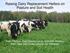 Raising Dairy Replacement Heifers on Pasture and Soil Health