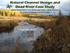Natural Channel Design and Dead River Case Study Stream Restoration in the Great Lakes Basin: Using In-stream Structures & Natural Channel Design
