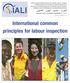 IALI. International common principles for labour inspection
