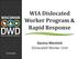 WIA Dislocated Worker Program & Rapid Response. Gesina Mentink Dislocated Worker Unit