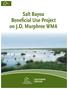 Salt Bayou Beneficial Use Project on J.D. Murphree WMA