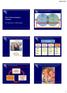 The Communications 2012/12/3. Encoding. Prof. Pierre Xiao LU, Fudan University. Animation. Verbal Graphic Musical