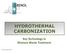 HYDROTHERMAL CARBONIZATION. Key Technology in Biomass Waste Treatment