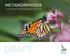 METAMORPHOSIS Conservation Halton Strategic Plan 2020 DRAFT