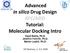 Advanced in silico Drug Design KFC/ADD Tutorial: Molecular Docking Intro. Karel Berka, Ph.D. Jindřich Fanfrlík, Ph.D. Martin Lepšík, Ph.D.