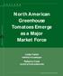 North American Greenhouse. Tomatoes Emerge as a Major Market Force