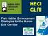 HECI GLRI. Fish Habitat Enhancement Strategies for the Huron- Erie Corridor