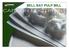 BELL BAY PULP MILL. Overview of the Bell Bay Pulp Mill Project