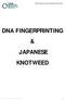 DNA FINGERPRINTING & JAPANESE KNOTWEED